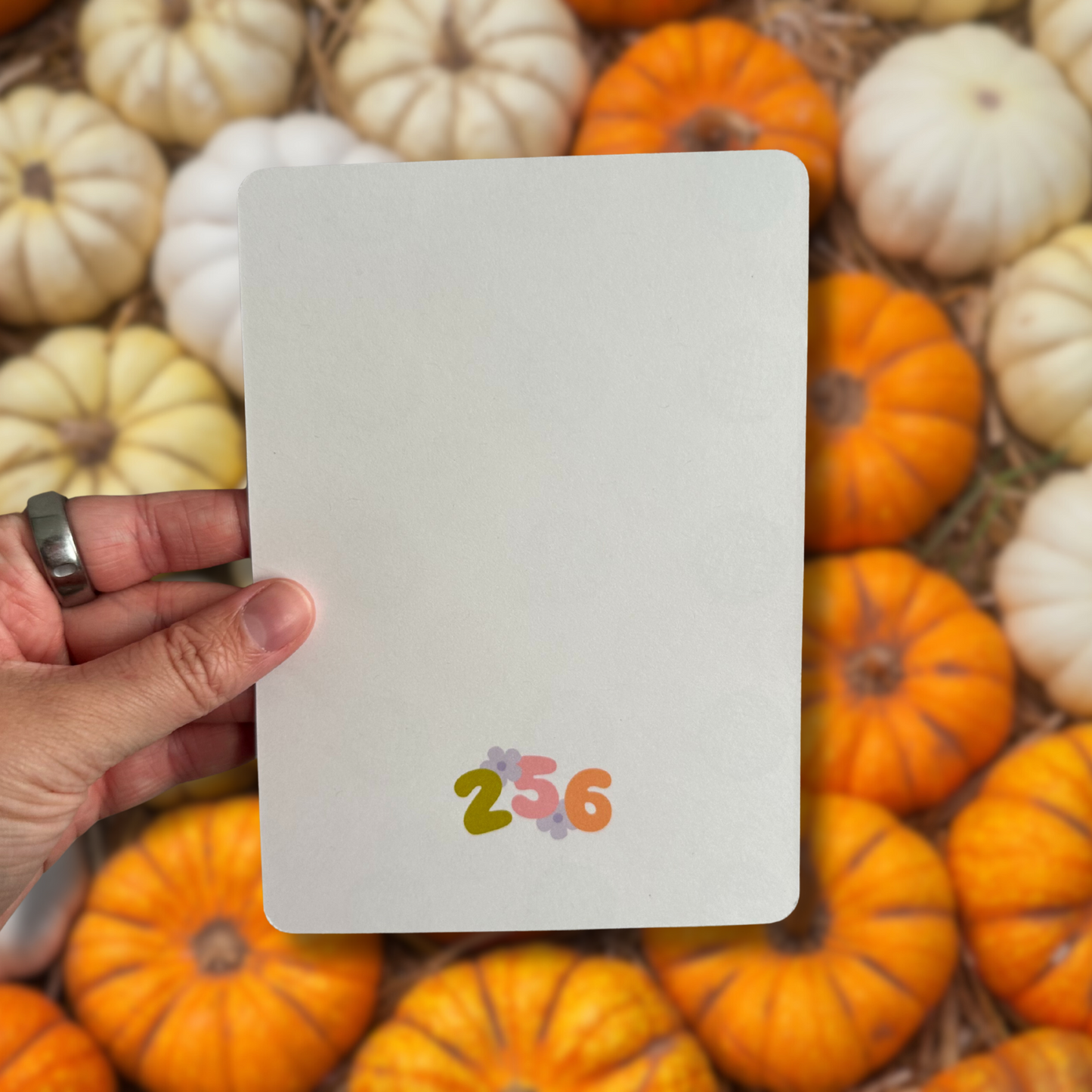 Autumn Boots E-Reader Case Insert