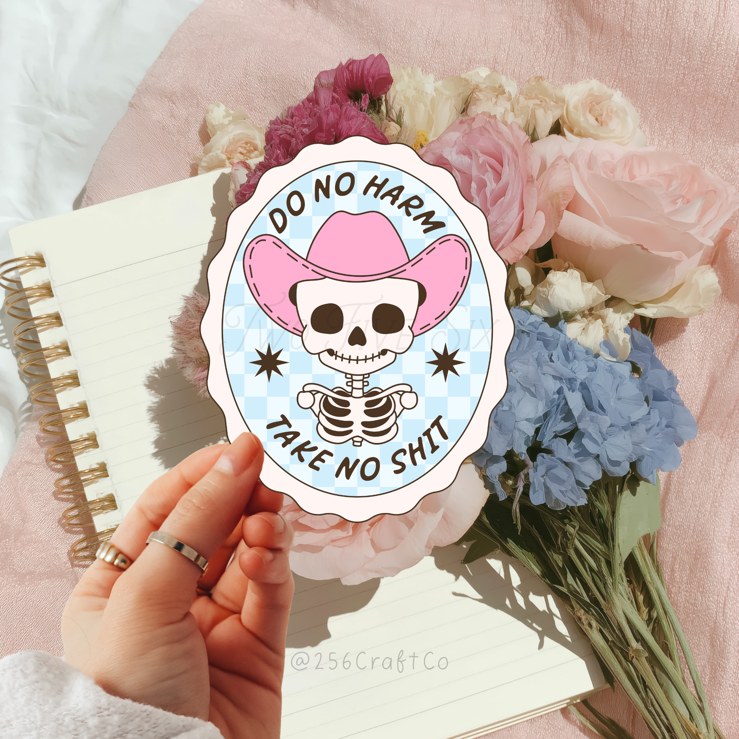 Do No Harm Take No Shit Blue Sticker