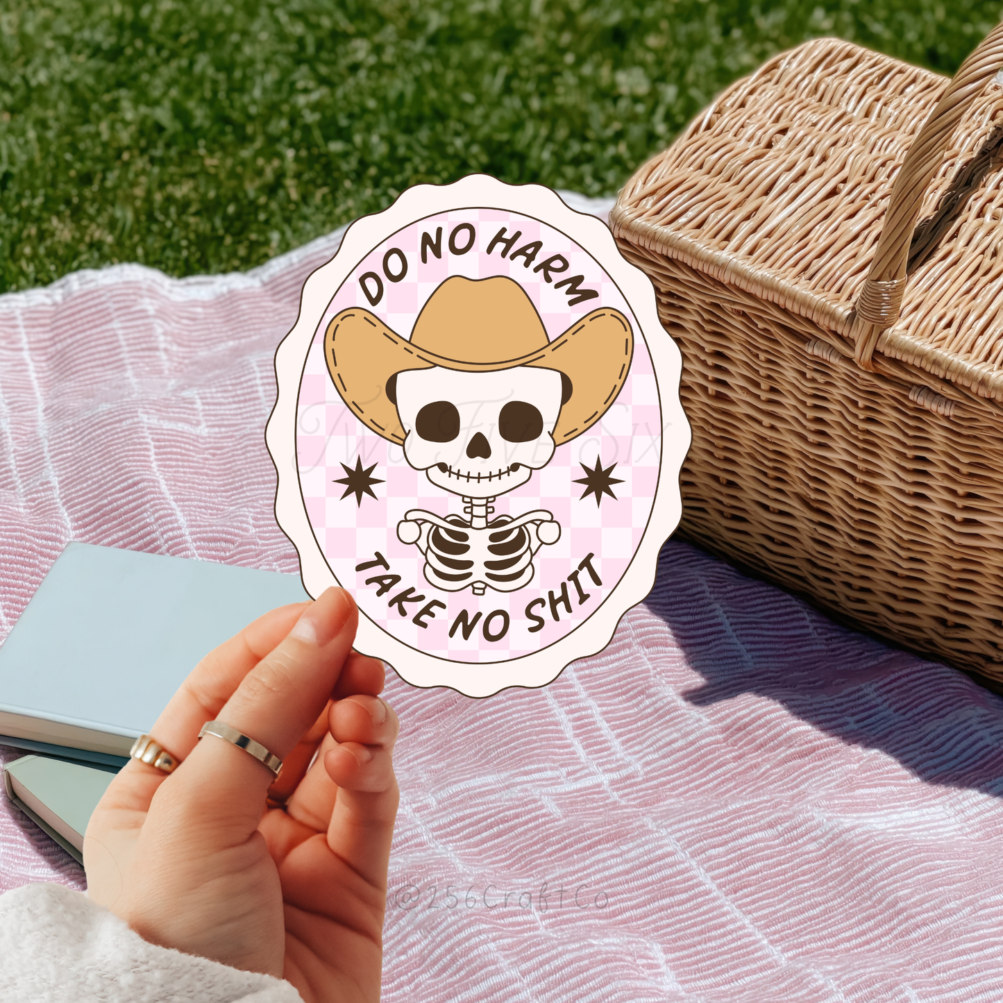 Do No Harm Take No Shit Pink Sticker
